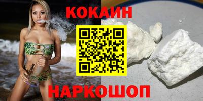 гашик Моздок