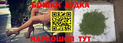 гашик Моздок