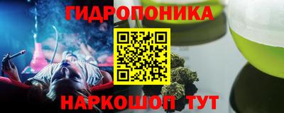 гашик Моздок