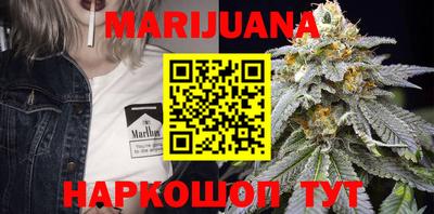 гашик Моздок