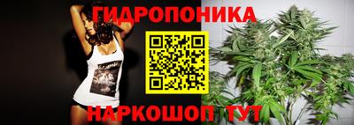гашик Моздок