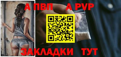 гашик Моздок