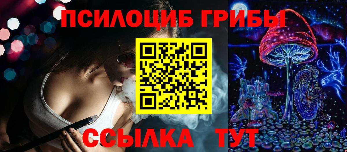 Псилоцибиновые грибы Psilocybe Арсеньев